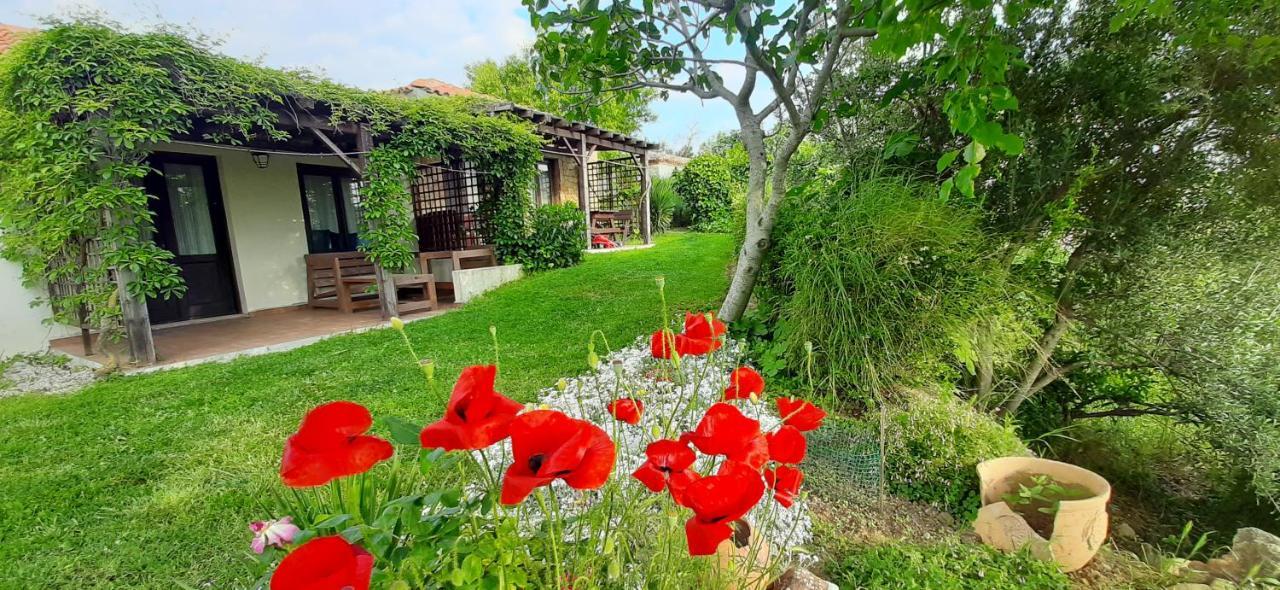 The Gallipoli Houses エジェアバト エクステリア 写真